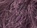 Long Eyelash Maroon A