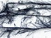 Long Eyelash Navy A