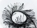Long Eyelash Black B