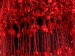 Shawl Red A