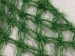 Shawl Green A