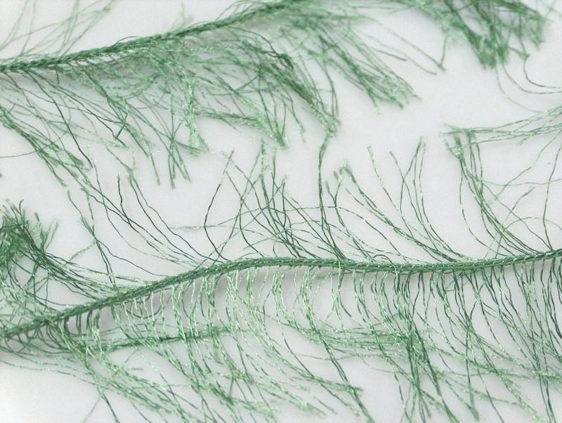 Long Eyelash Green