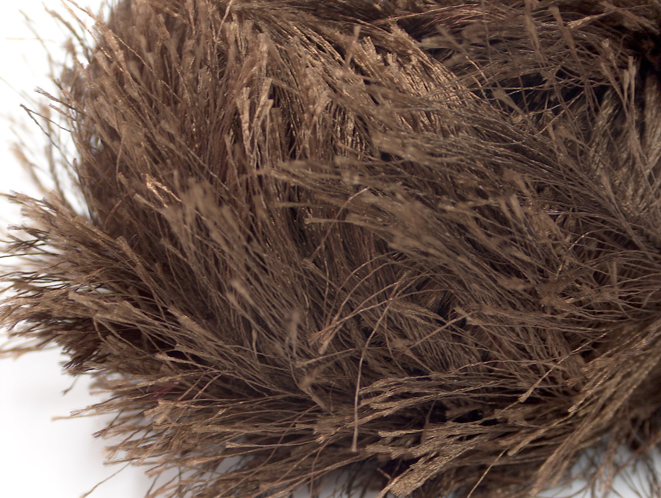 Long Eyelash Brown