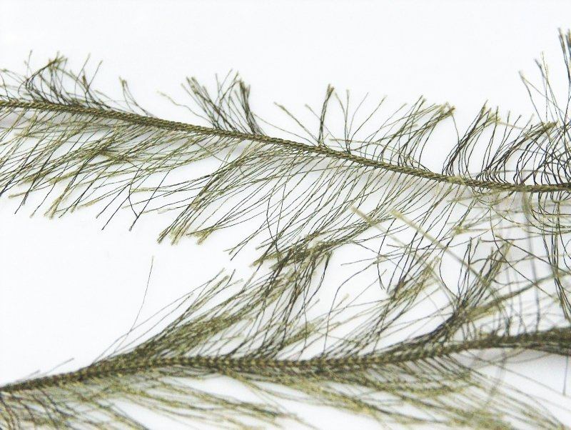 Long Eyelash Khaki