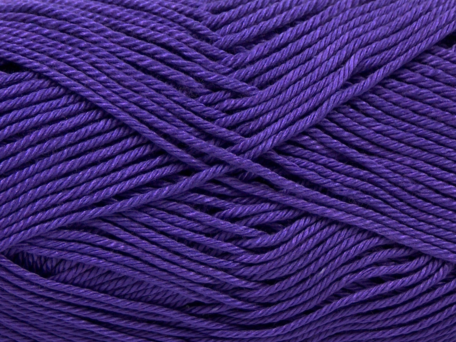 Giza Cotton Lavanta