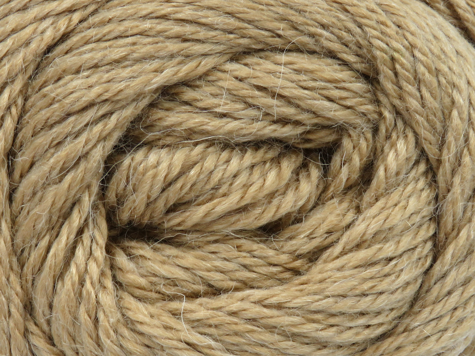 Norsk Açık Kamel