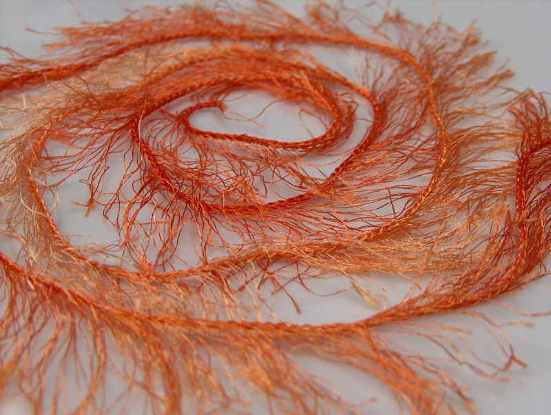 Long Eyelash Orange
