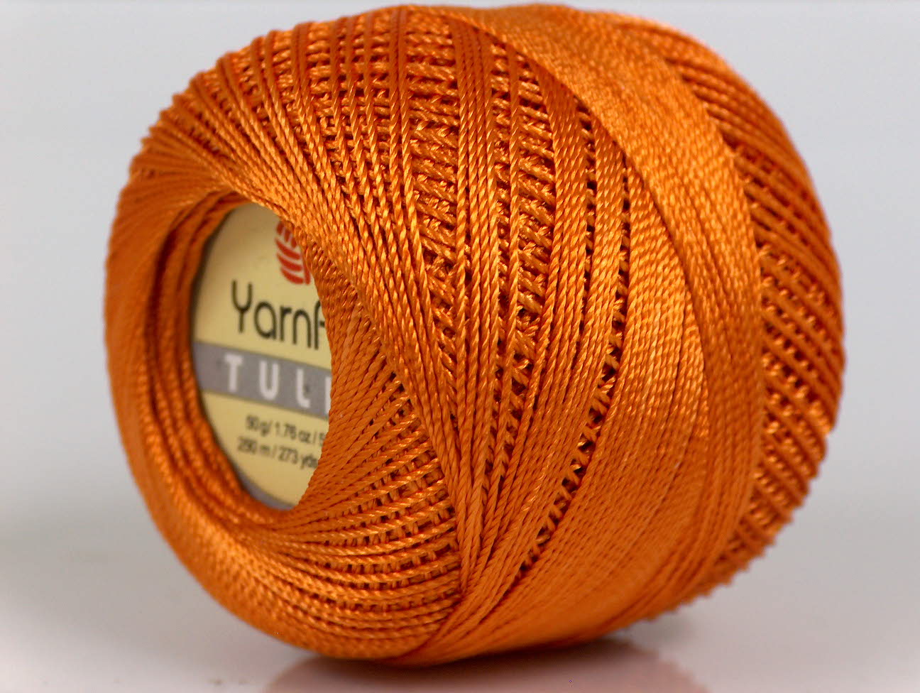 Tulip Orange