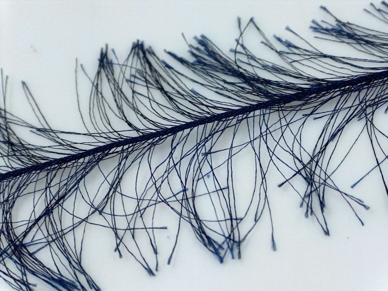 Long Eyelash Navy